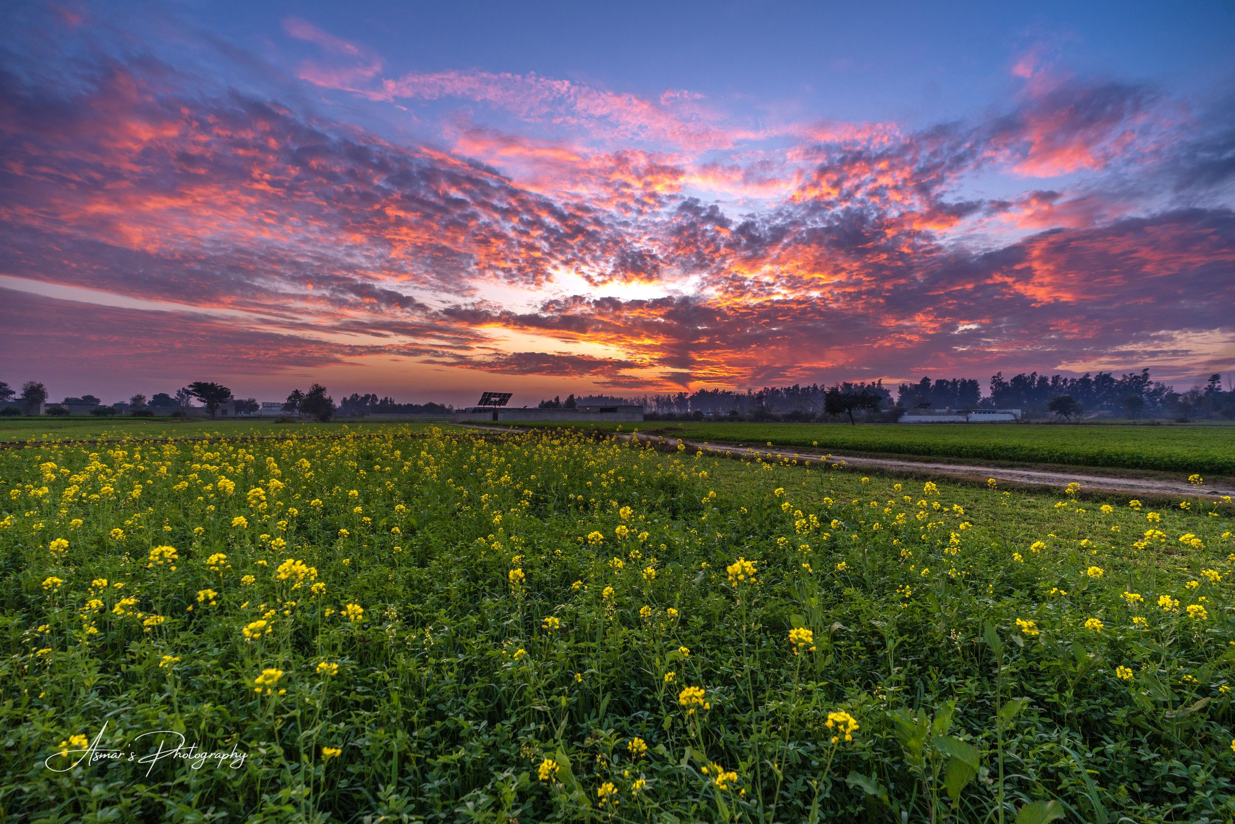 Dera Ismail Khan, Dera Ismail Khan, Pakistan — fine-art landscape photograph by Asmar Hussain
