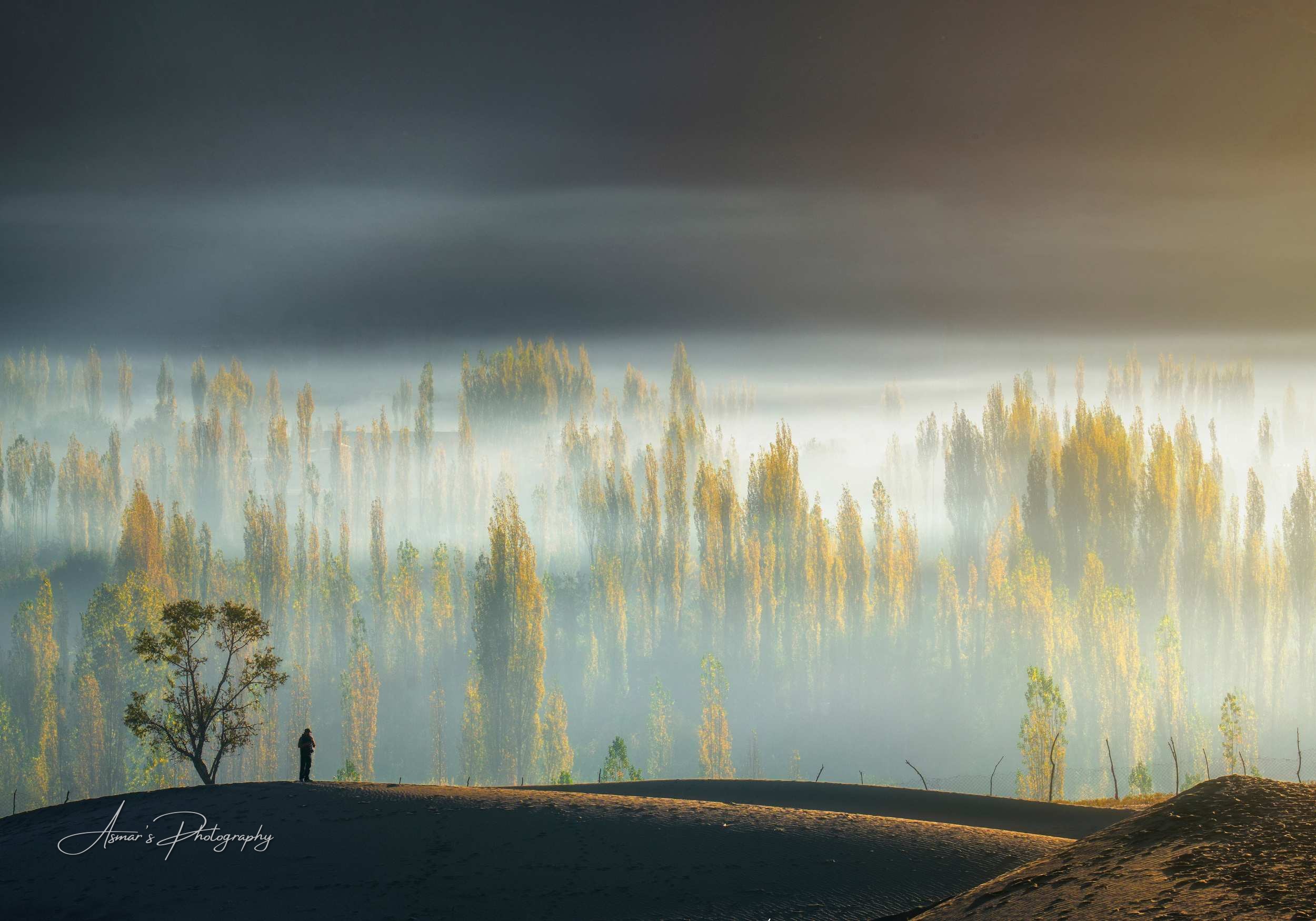Morning Mist, Katpana Desert, Skardu — fine-art landscape photograph by Asmar Hussain