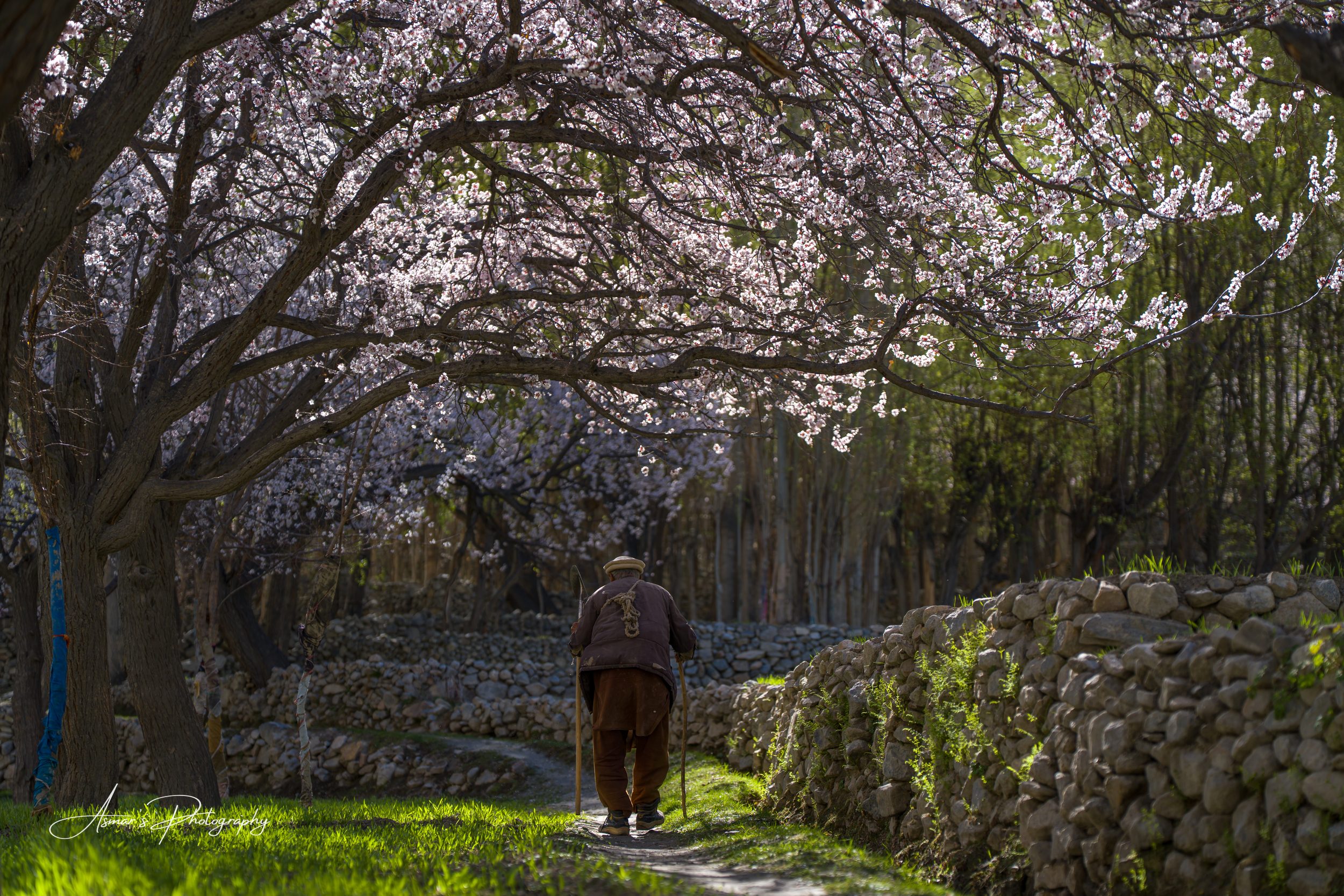 Morning, Gulshan-e-Kabir — fine-art landscape photograph by Asmar Hussain